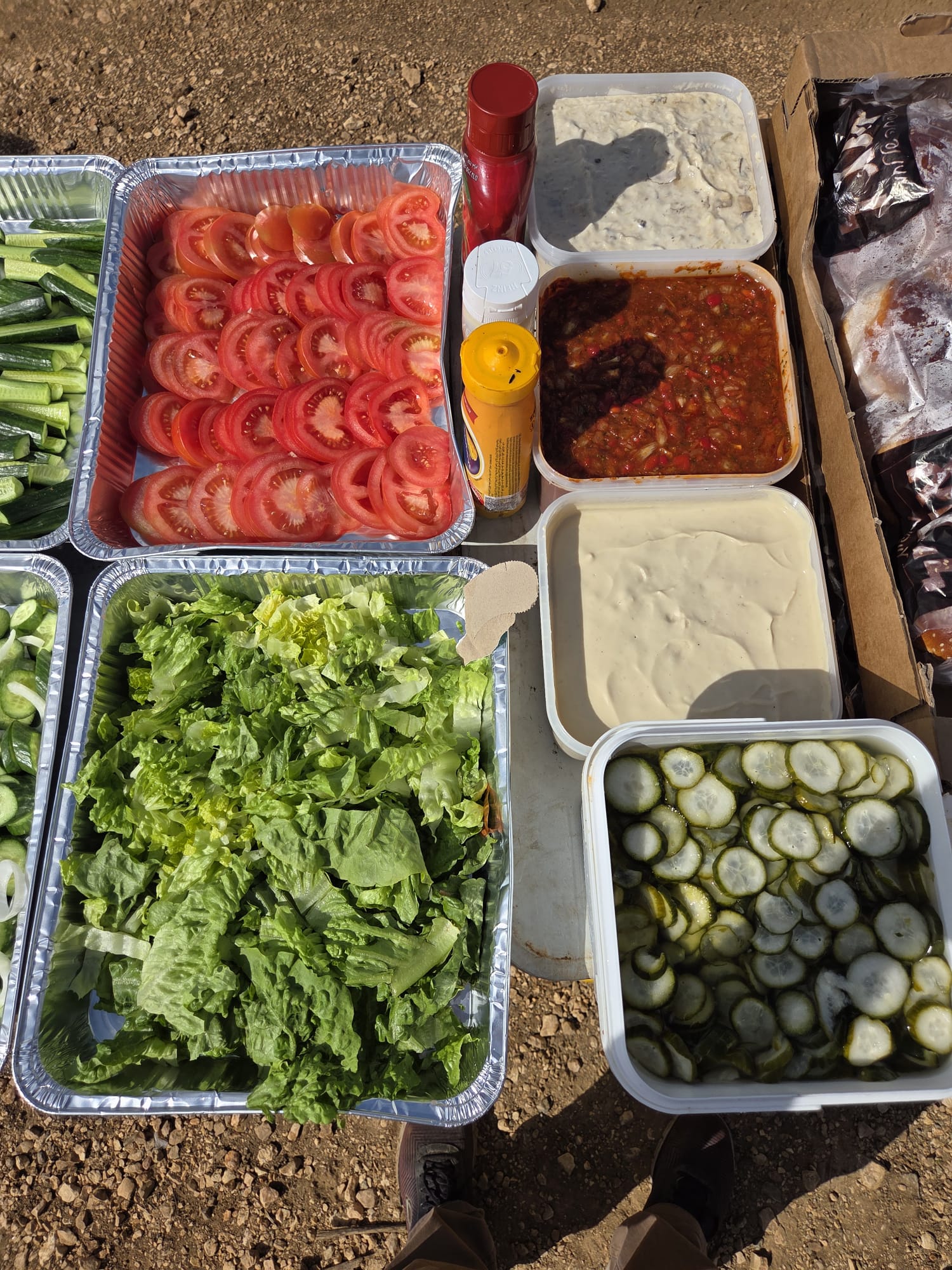 מתנדבים בפעולה